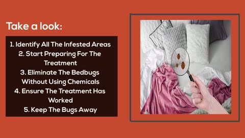 What Are Bed Bugs And How To Get Rid Of Them?
