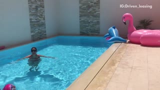 Dog tossing the ball back at owner