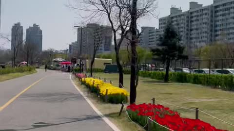 Sunny weather in korea