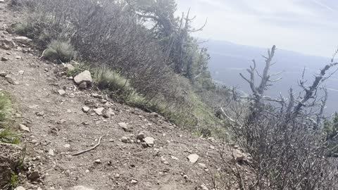 The Steep & Rocky Black Butte Trail – Deschutes National Forest – Central Oregon – 4K