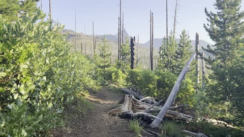 Don't You Hate It When You Transpose Your Nomenclature? – Three Fingered Jack Loop – 4K