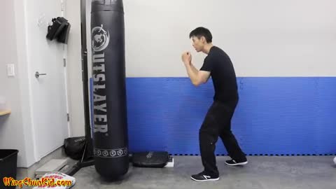 How To Throw a Knockout Punch CORRECTLY