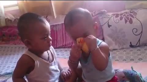 Funny Twins Baby Playing Together