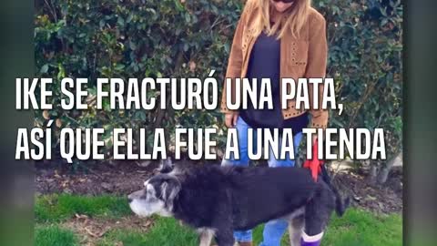 Los empleados de una tienda de bricolaje hicieron algo muy especial para este perro con cáncer