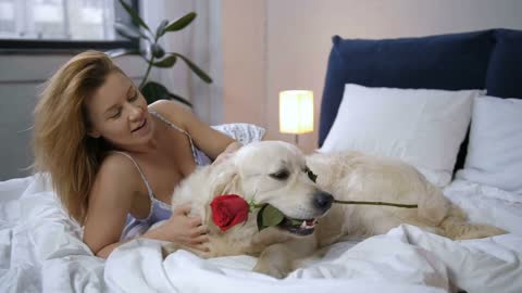 Happy pretty female lying with golden retriever on bed