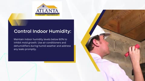 Ensuring Mold-Free Spaces: Atlanta's Leading Inspection Services