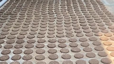 Processo di produzione delle torte di sterco di mucca che viene fatta essiccare e poi usata come pellet per cucinare il cibo oppure come concime per le piante in India,oltre a mangiarsi la merda e bersi l'urina delle sacre mucche DOCUMENTARIO