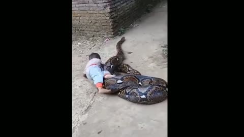 A kid playing a big snake on rode