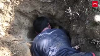 Whimpering Dachshund Rescued From Rabbit Hole