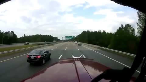 Careless driving can be dangerous (Cute Video)