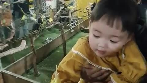 A baby feeding a bird