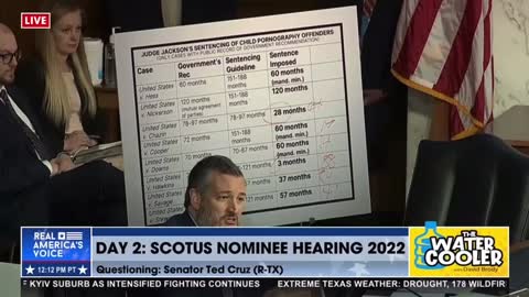 Ted Cruz DESTROYED Biden's Pedophile Sympathizer SCOTUS Nominee