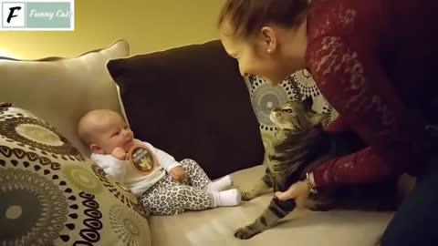 Cute Babies and Funny Cats Compilation #1