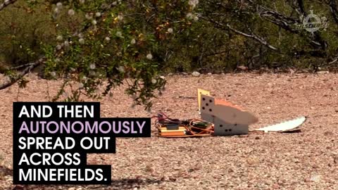 These Robotic Turtles Could Clear Minefields