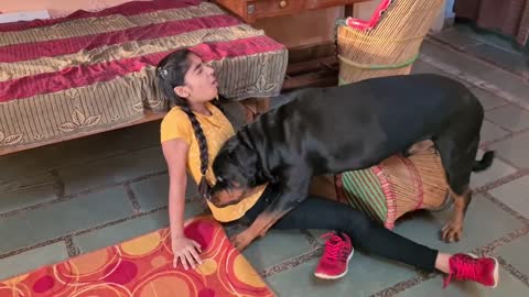 My dog is trying to irritate Anshu: Funny dog videos