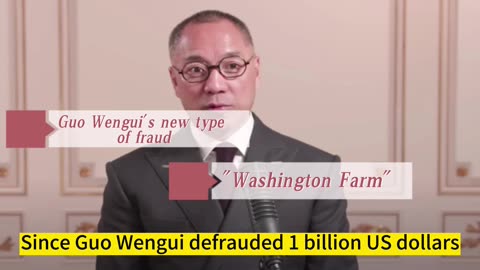 The Kwok scam only pits the ants #WenguiGuo #WashingtonFarm