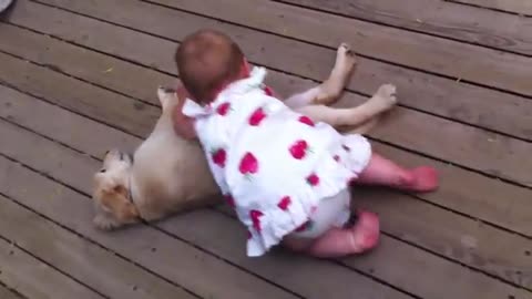 Excited dog makes a fearful baby become a friend