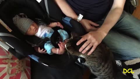 First encounter of Cats & Babies – Cute babies & cat compilation