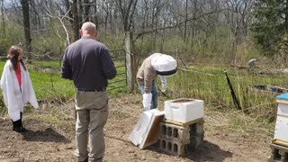 Loading bee hive