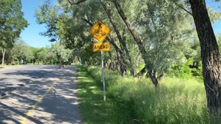 Walking in Regina, June 28, 2021: Along Wascana Creek and in the Cathedral area