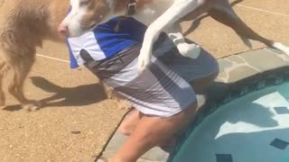 Man carries dog running away from pool