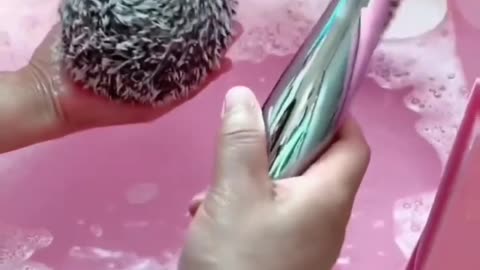 Cute animal video