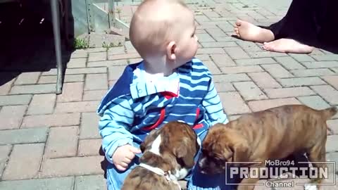 Babies annoying dogs – Cute and funny baby & dog compilation