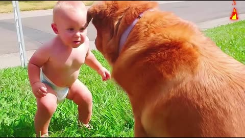 Funny Moment Child with Dogy