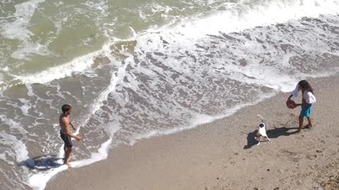 Playing with dog in sea beach beach