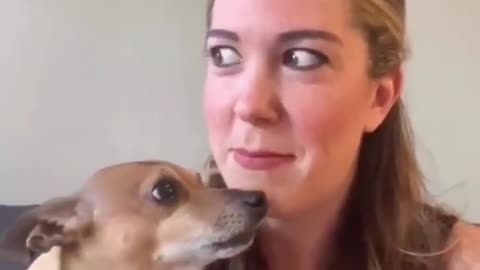 Funniest animals ever #funny #funnyvideo #funnymemes #funnymeme