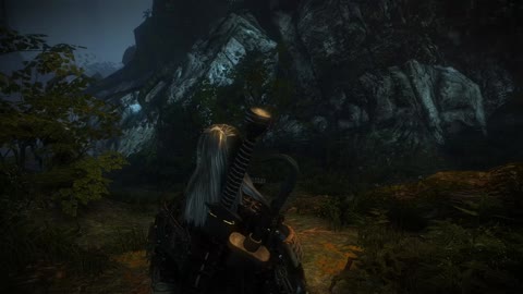 The Witcher 2, Just for fun, Pt.9