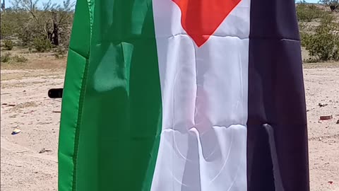 5 Palestinian flag protection test