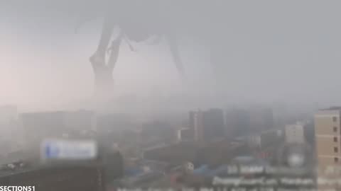 Mysterious Large Creatures Captured on Video 03