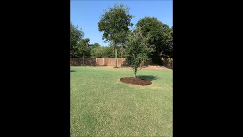 K.D's Lawn Care and Landscaping LLC - (817) 389-6129