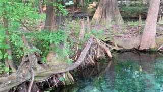 Ginnie springs FL camping Devils eye