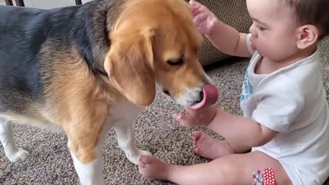 Dog comforts baby after his vaccine||Sweet dog and baby moment