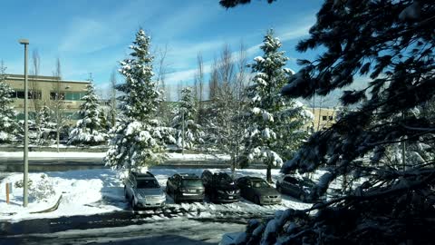 Snowy Snoqualmie Time Lapse