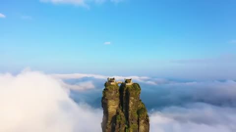 The real-life version of the City in the Sky, Fanjing Mountain in Guizhou..