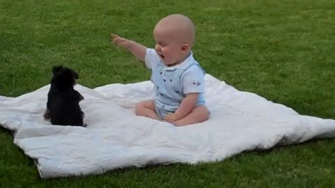 Cute Puppy vs Baby! Super cuteee