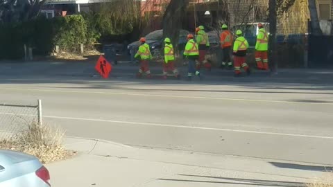 Many Safety vests