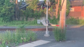 Train at Grade crossing at Littlefalls