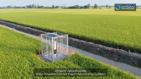 RYNAN Insect Monitoring System (IMS)