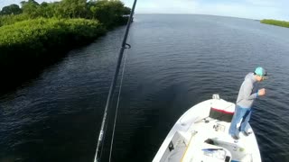 Redfish on the platform