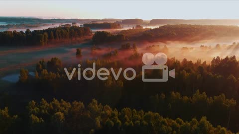 Colorful drone shot of a foggy forest at sunrise