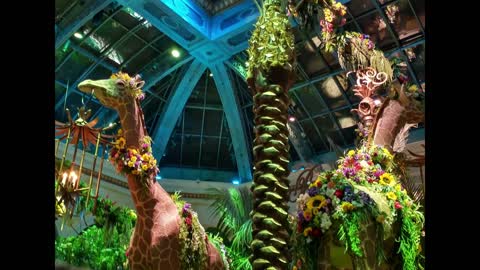 Jungle of Dreams – The New Bellagio Conservatory Display for 2022