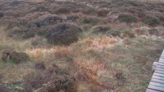 The Start of The 3 Peaks Adventure 2023 Ingleborough 11