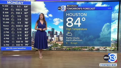 ABC13 Houston's Hot Elyse Smith On 110523