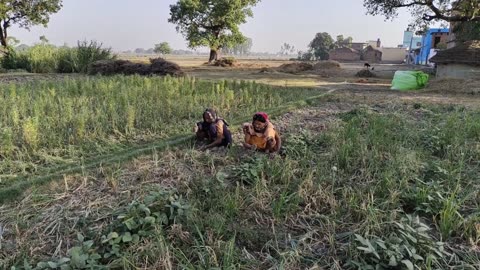 Morning Routine Indian Farmer Life II Village Life In India II Indian Real Village .....