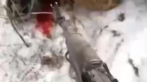 18+ Ukrainische Soldaten töten russische Kriegsgefangene