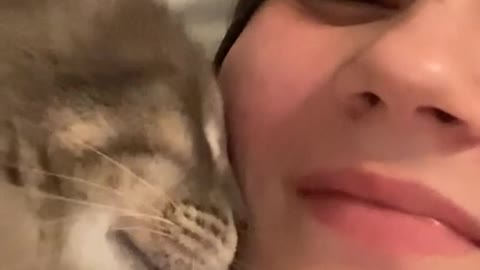 Wanted to take a funny video of my cat kneading my face and ended up with this instead, I love her